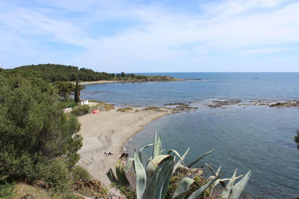 Luxury 4 Bed Apartment On Coastal Footpath At Cap Ras Llança Buitenkant foto